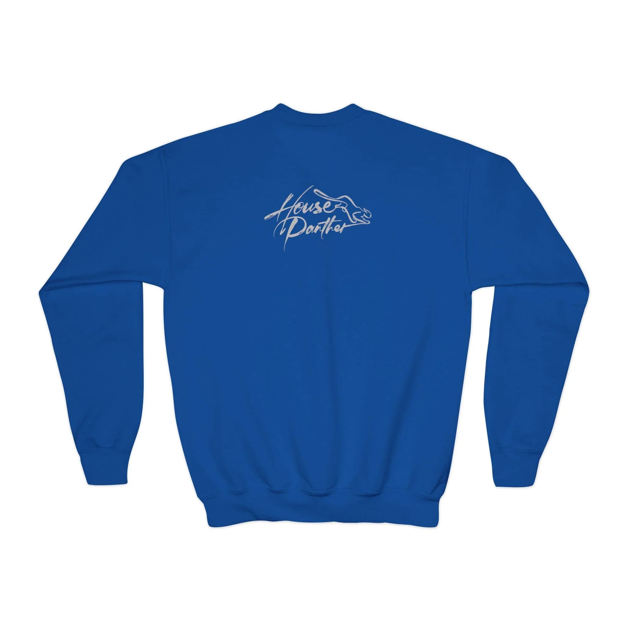 Expressive Sweatshirt - Boyhood Unboxed - House Panther