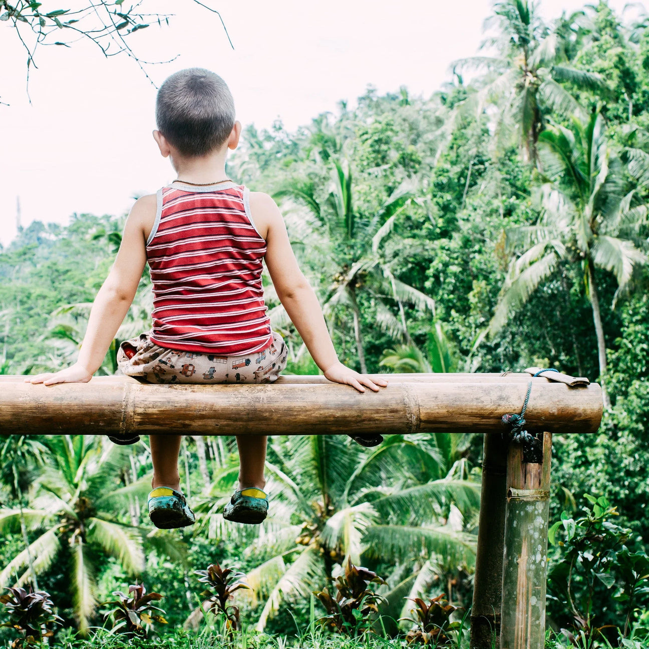 How Nature Builds Confidence & Independence in Boys