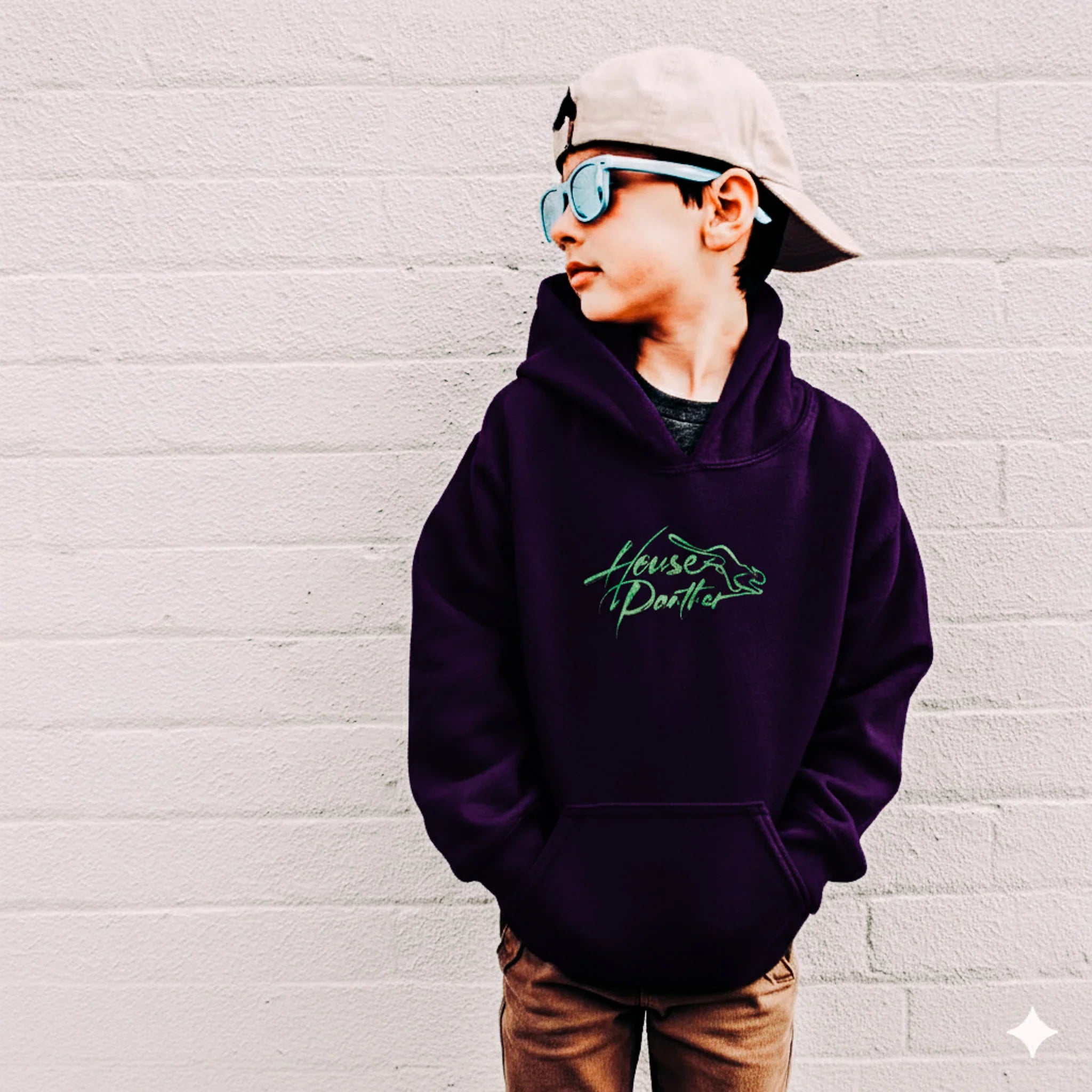 Expressive Dino Hoodie - No Regrets - House Panther