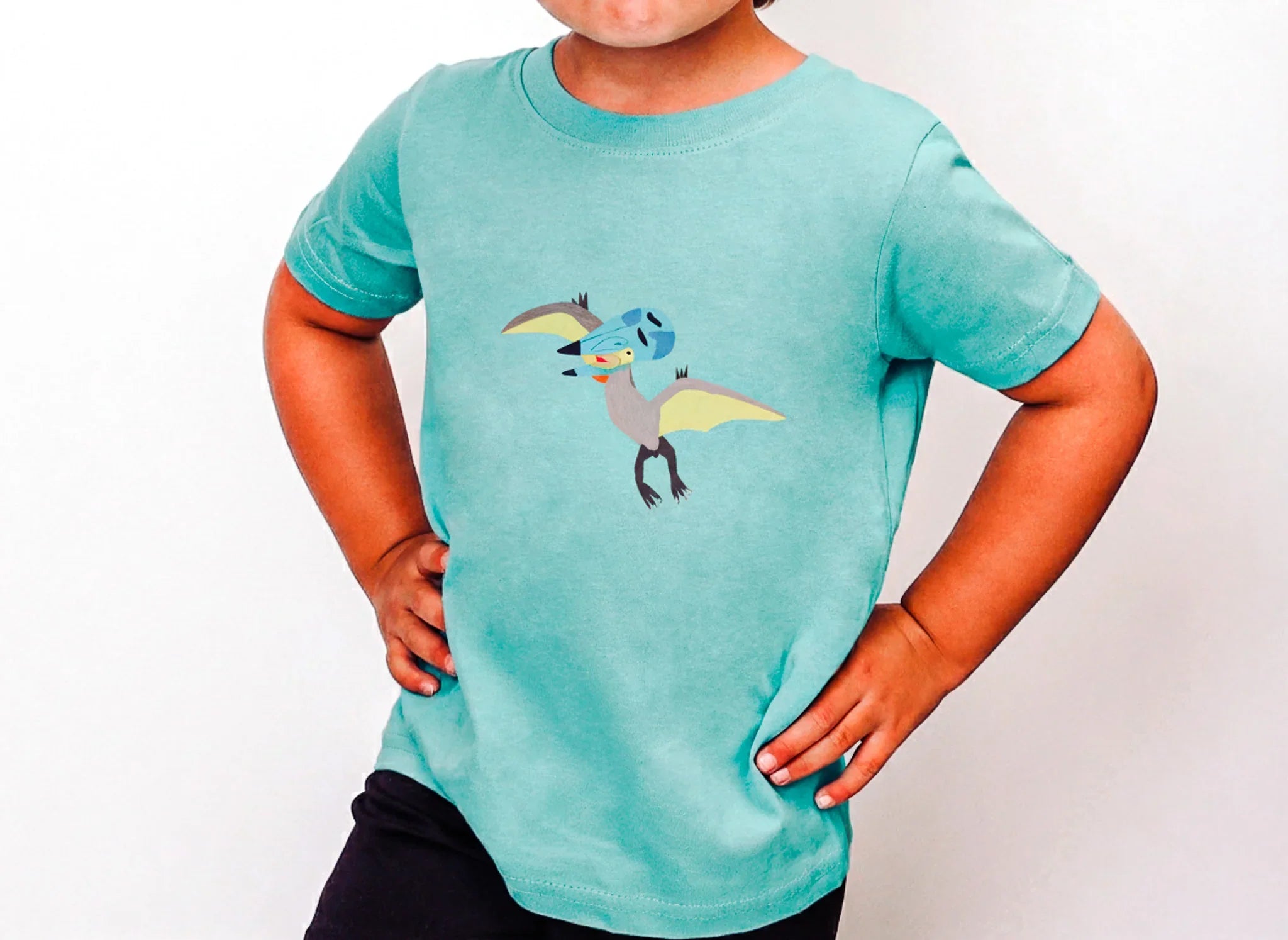 Toddler Tee - Tupuxuara, Dinosaur Shirt - House Panther